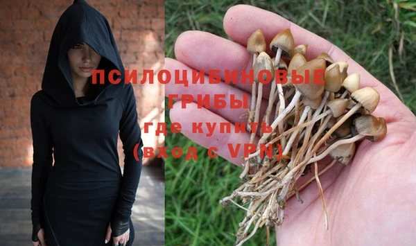 прущая мука Коряжма