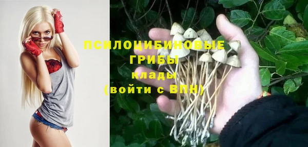 прущие крисы Костерёво