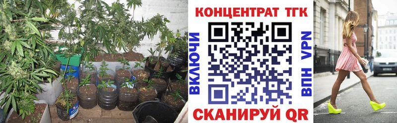 Купить где  Арсеньев  Дистиллят ТГК Wax 